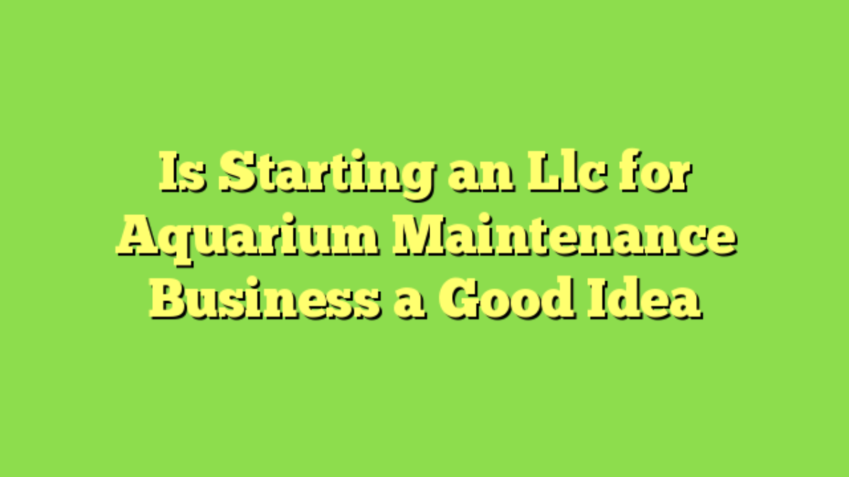 The Ideal Schedule for Aquarium Maintenance