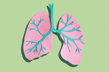 diagram:qlzhkrzlnlk= lungs